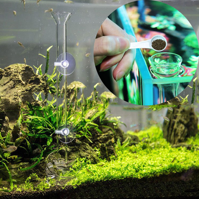 Mangiatoia per acquario in vet - Meal Prep Glass recensione e prezzo